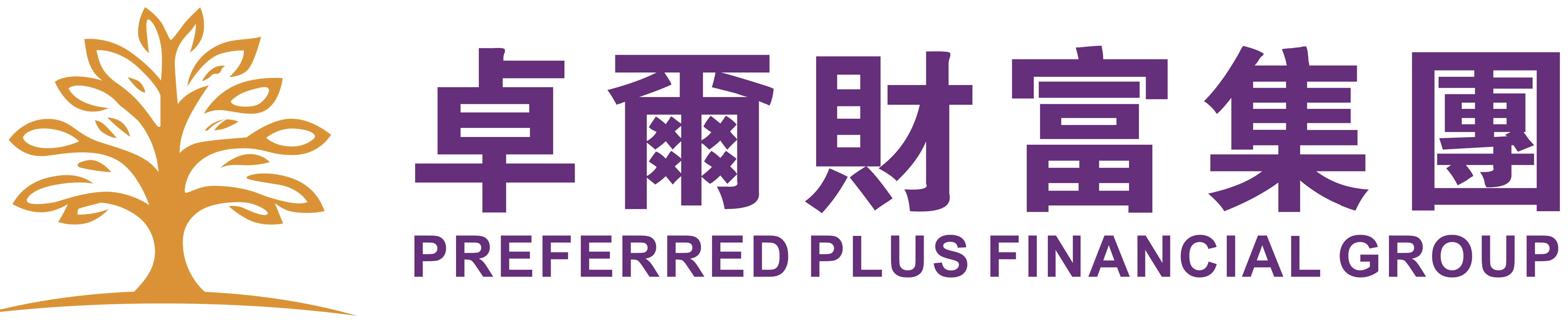 PREFERRED PLUS FINANCIAL GROUP